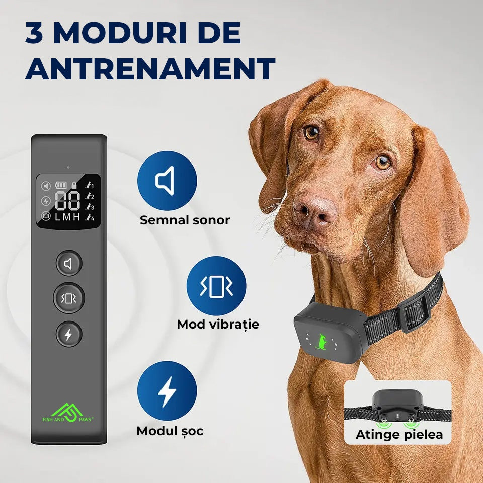Zgarda electrica cu telecomanda RelaxU© pentru dresajul cainilor Engros, ton de avertizare, vibratii si soc static perfect pentru vanatoare sau antrenamente, rezistenta apa si praf, raza de actiune 487m, incarcator magnetic, curea ajustabila 62cm - RelaxU.ro