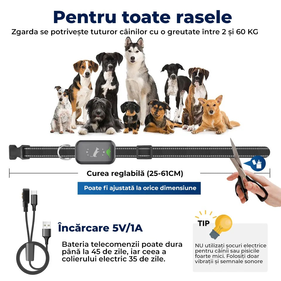 Zgarda electrica cu telecomanda RelaxU© pentru dresajul cainilor Engros, ton de avertizare, vibratii si soc static perfect pentru vanatoare sau antrenamente, rezistenta apa si praf, raza de actiune 487m, incarcator magnetic, curea ajustabila 62cm - RelaxU.ro