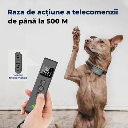 Zgarda electrica cu telecomanda RelaxU© pentru dresajul cainilor Engros, ton de avertizare, vibratii si soc static perfect pentru vanatoare sau antrenamente, rezistenta apa si praf, raza de actiune 487m, incarcator magnetic, curea ajustabila 62cm - RelaxU.ro