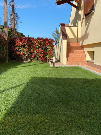 TurboGreen Fertilizator Natural pentru Gazon RelaxU ©